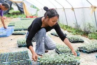 源头吃瓜网,揭秘娱乐圈幕后真相，带你走进明星生活