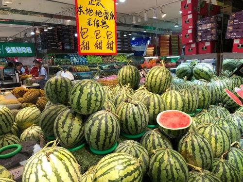 温州网红吃瓜事件,揭秘网络舆论的风暴与真相