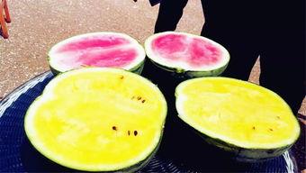 网爆吃瓜爆料图片高清壁纸,高清壁纸中的惊人瞬间