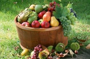 农林吃瓜网盘,揭秘农业科技与休闲生活的完美融合