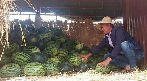 昆明某网红吃瓜视频,揭秘幕后真相，带你领略网红圈风云