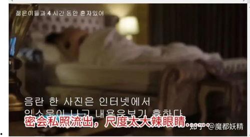 网红爆料吃瓜合集,吃瓜合集深度解析