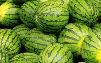 吃瓜网每日大赛入口mrds,揭秘热门赛事精彩瞬间