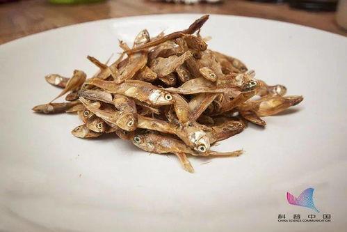 网红小鱼干吃瓜,揭秘娱乐圈幕后真相