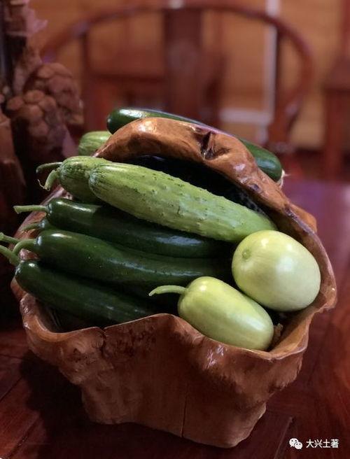 近期吃瓜汇总网红圈,揭秘幕后故事与热点事件