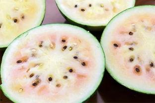 北美网红吃瓜事件真相是真的吗,真相揭秘，是真是假？