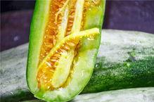 宁强的网红瓜怎么吃