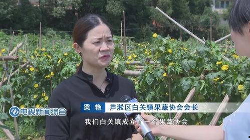 吃瓜姓韩的网红是谁啊图片,吃瓜姓韩网红的真实身份