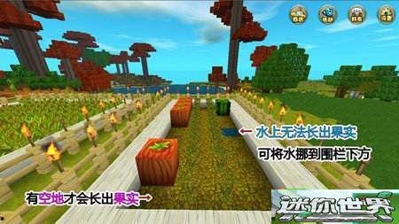 迷你世界吃瓜网红地图