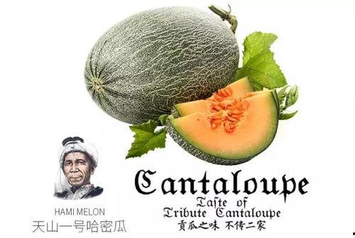 qq吃瓜网红推荐,跟随QQ吃瓜网红探寻娱乐圈幕后故事