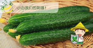 六点吃瓜网