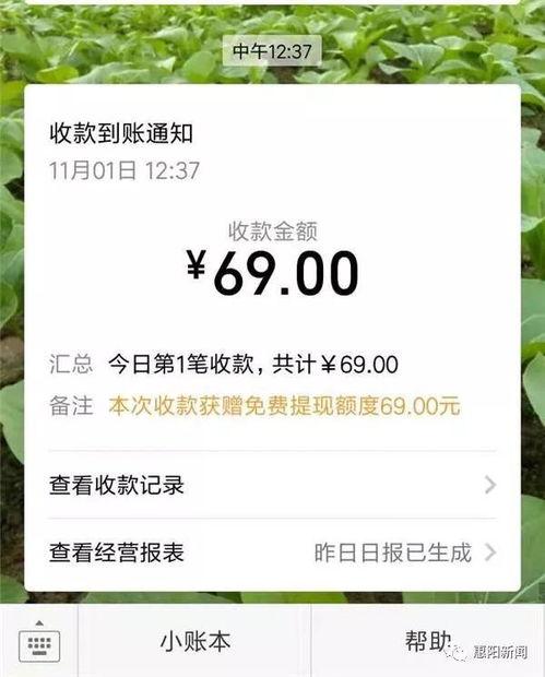吃瓜网的注册码是多少,解锁海量瓜子的秘密钥匙